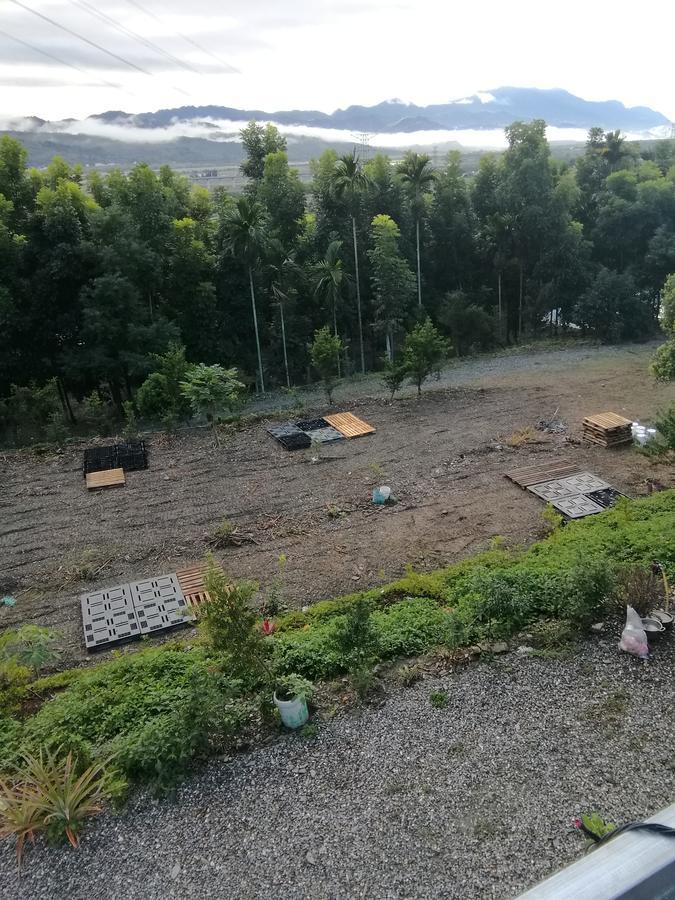 台東民宿 關山桃花心木民宿農場 Guanshan Dış mekan fotoğraf