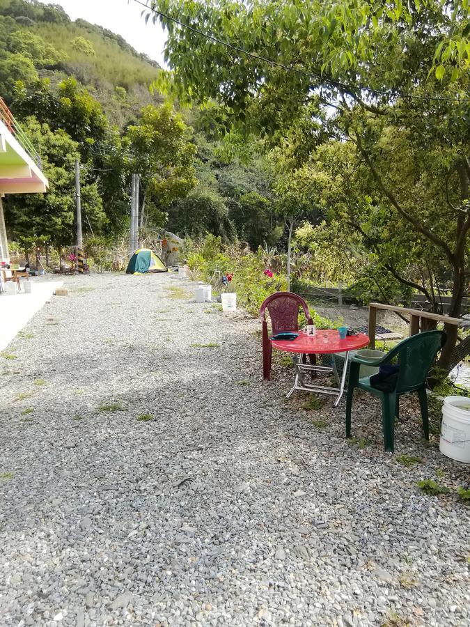 台東民宿 關山桃花心木民宿農場 Guanshan Dış mekan fotoğraf