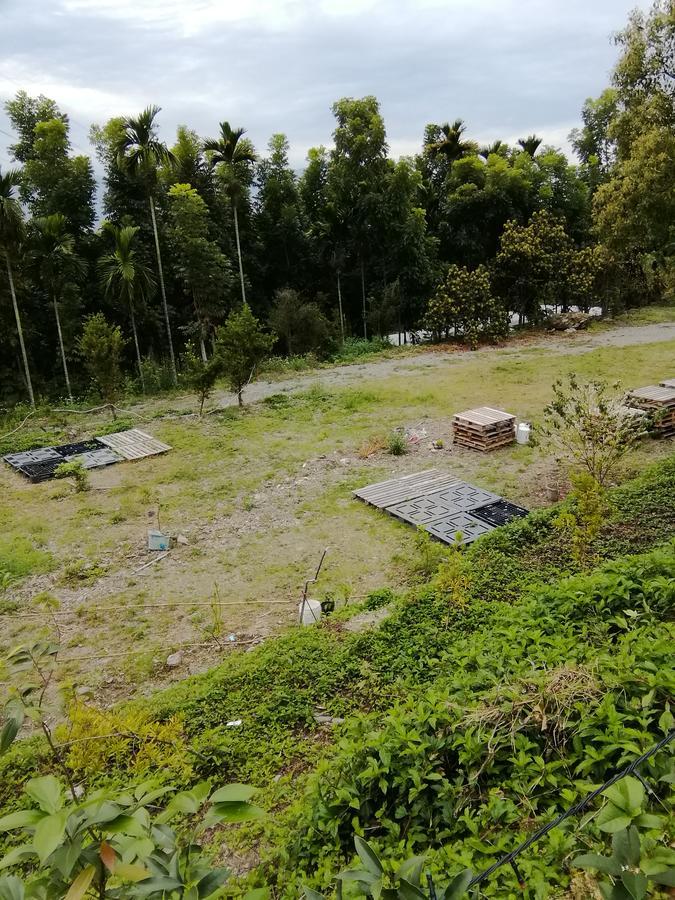 台東民宿 關山桃花心木民宿農場 Guanshan Dış mekan fotoğraf