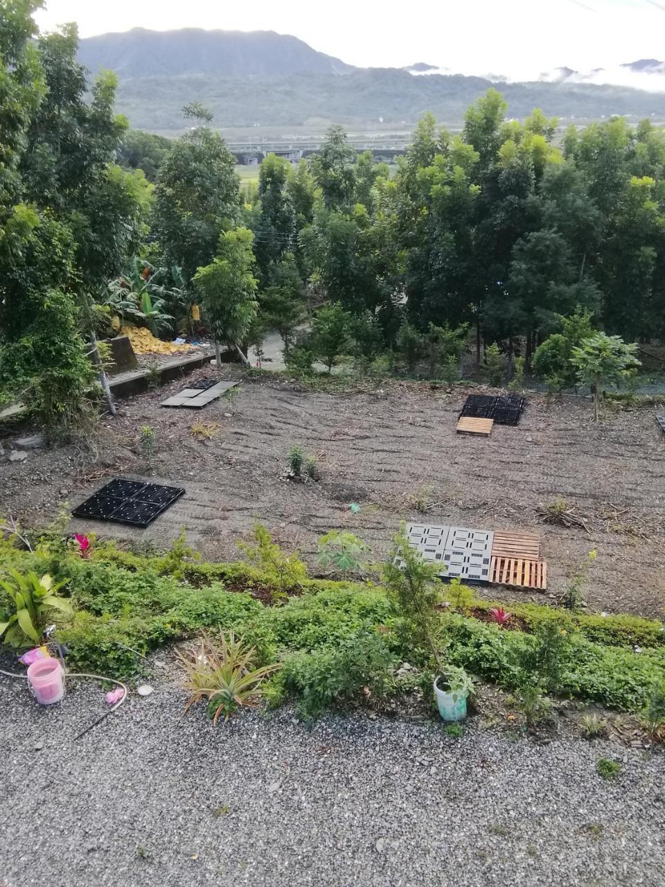 台東民宿 關山桃花心木民宿農場 Guanshan Dış mekan fotoğraf
